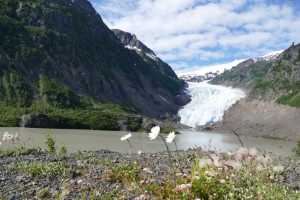 Bear Glacier. northern BC